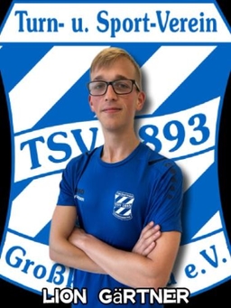 Avatar Bild für Lion Gärtner