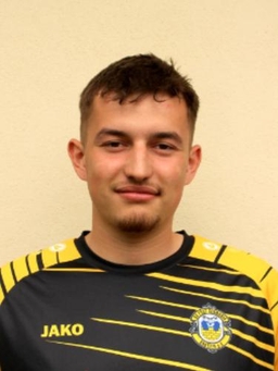 Avatar Bild für Dominik Domschke