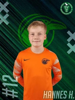 Avatar Bild für Hannes Finn Heinisch