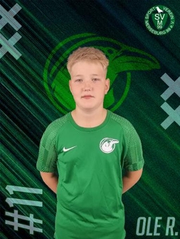 Avatar Bild für Ole Einar Rabe