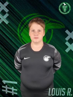 Avatar Bild für Louis Mario Runge