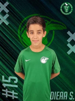 Avatar Bild für Dieaa Shelar