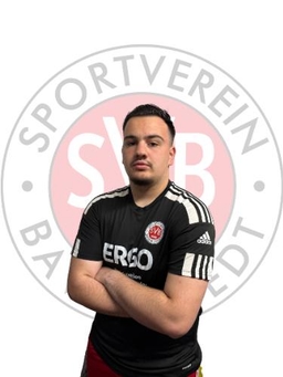 Avatar Bild für Almin Skrijelj
