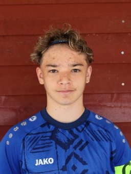 Avatar Bild für Mike Linke