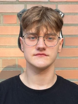 Avatar Bild für Sergejs Aleksejevs