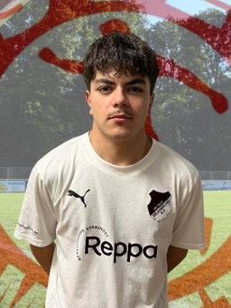 Avatar Bild für Vincenzo Zaffiro