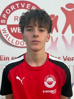 Avatar Bild für Nikita Seibel