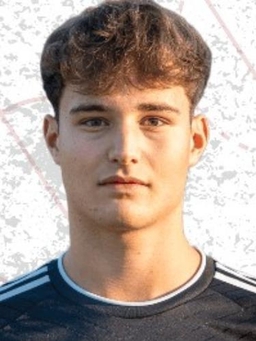 Avatar Bild für Henrik Guido Molitor