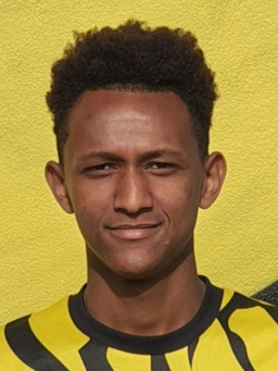 Avatar Bild für Hermon Muluebrhan