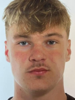 Avatar Bild für Joel Albrecht