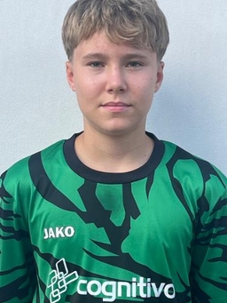 Avatar Bild für Theo Görgen