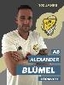 Avatar Bild