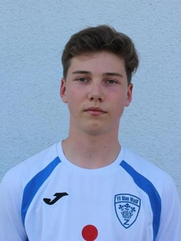 Avatar Bild für Levi Schmidts