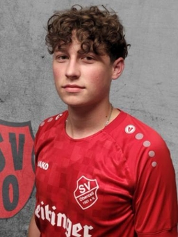 Avatar Bild für Louis Leinsle