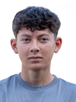 Avatar Bild für Julian Visescu