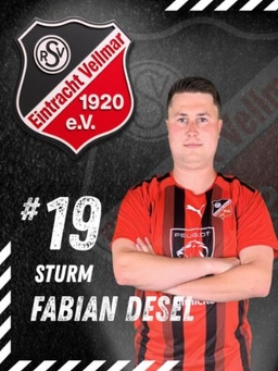 Avatar Bild für Fabian Desel