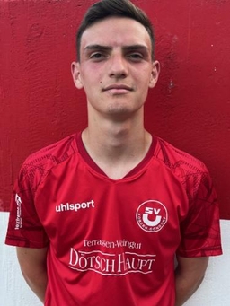 Avatar Bild für Louis Männchen