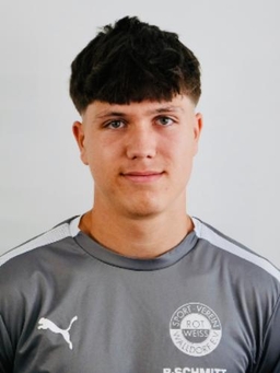 Avatar Bild für Lucas Scholze