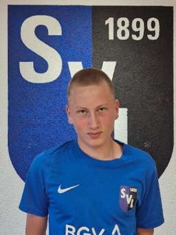 Avatar Bild für Marius Hertler