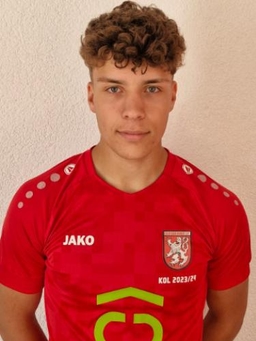 Avatar Bild für Ferrell Hamann