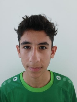 Avatar Bild für Ahmad Ahmad