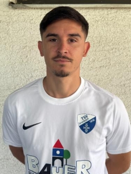 Avatar Bild für Domenico Pugliese