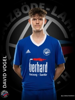 Avatar Bild für David Vogel