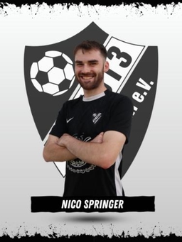 Avatar Bild für Nico Springer
