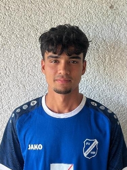 Avatar Bild für Arash Wahedi