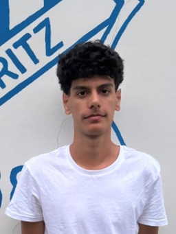 Avatar Bild für Mohammad Ramin Rasouli