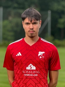 Avatar Bild für Manuel Ledwon