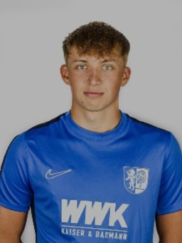 Avatar Bild für Janik Rene Moser