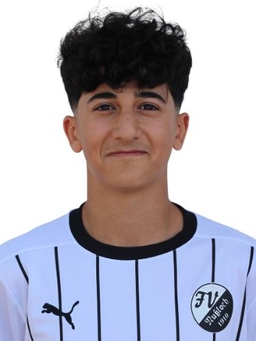 Avatar Bild für Semi Polat Aydin