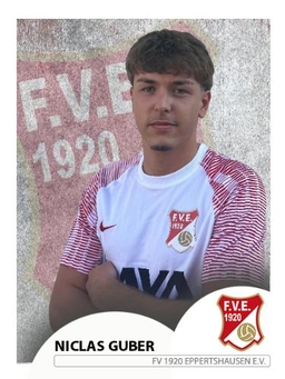 Avatar Bild für Niclas Guber