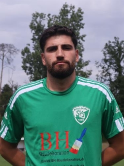 Avatar Bild für Adin Hajdarbegovic