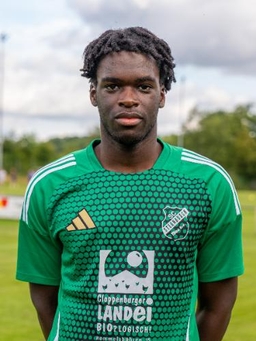 Avatar Bild für Luc-Henry Diamesso