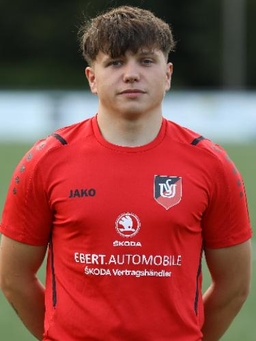 Avatar Bild für Domenik Herrmann