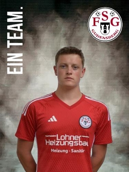 Avatar Bild für Dominik Geis