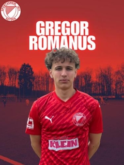 Avatar Bild für Fritz Gregor Romanus