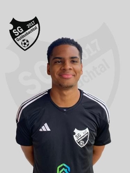 Avatar Bild für Saul Javier De la Cruz Rodriguez