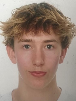 Avatar Bild für Henning Straub