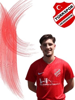 Avatar Bild für Mert Tulum