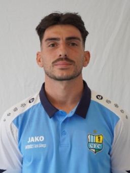 Avatar Bild für Domenico Alberico