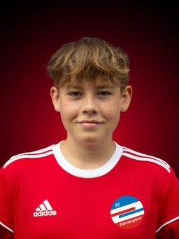 Avatar Bild für Levi Maurer