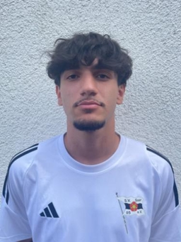 Avatar Bild für Mirsad Wiggerthale