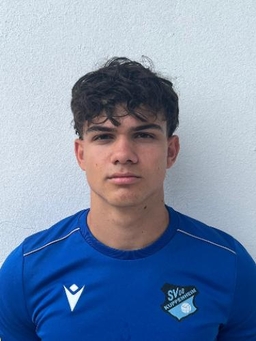 Avatar Bild für Luis Reiß