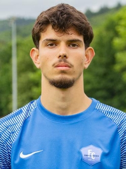 Avatar Bild für Dino Redzic