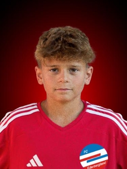 Avatar Bild für Diar Gashi