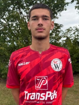 Avatar Bild für Patrice Samati