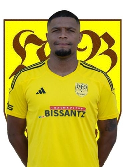 Avatar Bild für Percy Nadler